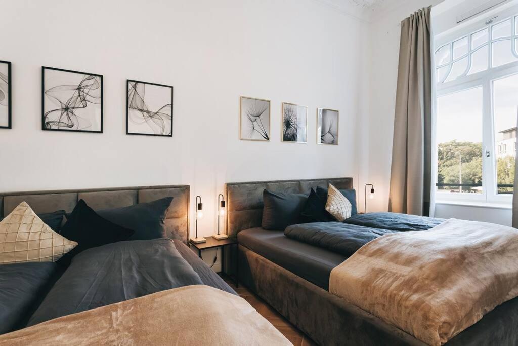 Tip! Design-Apartment In Toplage 75Qm In Szeneviertel เดรสเดน ภายนอก รูปภาพ